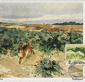 32216 - Russia USSR- POSTAL HISTORY - MAXIMUM CARD - 1960: Hares, Jackrabbits