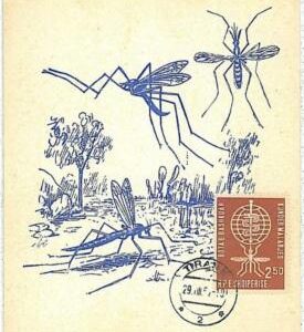 32537- ALBANIA  - MAXIMUM CARD : insects medicine MALARIA 1962  # 4