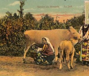 ac5727 -  ROMANIA  -  VINTAGE  POSTCARD - Ethnic - 1912