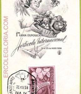 ad3264 - ARGENTINA - Postal History - MAXIMUM CARD - 1959 -  Vegetables