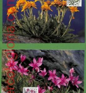 ag7364 - GERMANY - Set of 4  MAXIMUM CARD - 13.10.1983 - Flowers