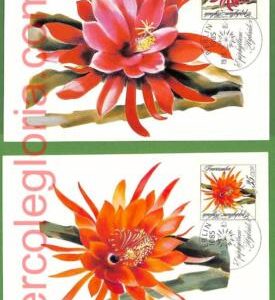 ag7433 - GERMANY - SET OF 3  MAXIMUM CARD - 19.09.1989 - Flowers