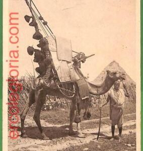 ah2325 - VINTAGE POSTCARD Ansichtskarten - Eritrea - 1938 -  ETHNIC