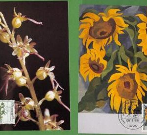 ag7418 - GERMANY  Berlin- SET OF 5  MAXIMUM CARD -  1984 - FLOWERS