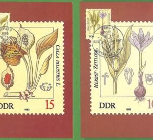 ag7463 - GERMANY DDR - Set of 6  MAXIMUM CARD - 08.04.1982 - Flowers
