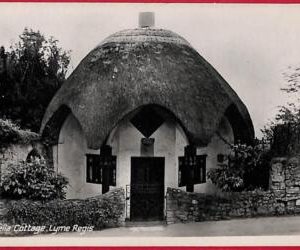 ai0289 -  GREAT BRITAIN - VINTAGE POSTCARD - Lyme Regis