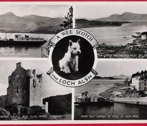 ai0290 -  GREAT BRITAIN - VINTAGE POSTCARD - Loch Alsh