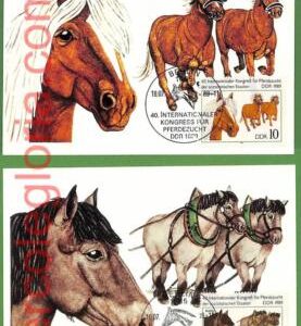 ag7449 - GERMANY DDR - Set of 3   MAXIMUM CARD - 18.07.1989 - Animals, Horse