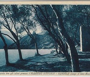 43864   CARTOLINA d'Epoca - BRESCIA provincia :  Salò
