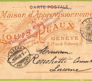 ad4331 - SWITZERLAND Schweitz - Ansichtskarten VINTAGE POSTCARD - Geneve - 1902