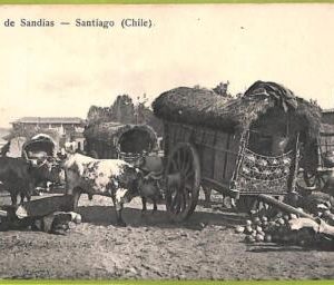 aa5576 - CHILE - Vintage Postcard - Santiago - Ethnic