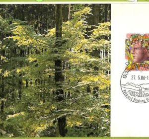 ad3318 - Switzerland - Postal History - Set of 2 MAXIMUM CARD - 1986 - Nature