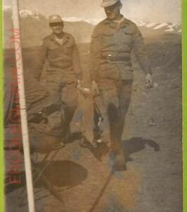 af3424 -  JUDAICA vintage postcard: ISRAEL -Hermon da late Sirya!!