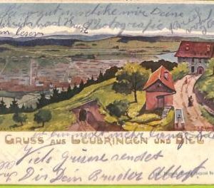 ad4699 - SWITZERLAND - Ansichtskarten VINTAGE POSTCARD-Gruss aus Leubringen-1902