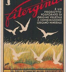 CARTOLINA d'Epoca - PUBBLICITARIA : MEDICINA --- FITERGINA