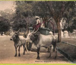 ae9332 - SINGAPORE -  VINTAGE POSTCARD - Ethnic, Water-car