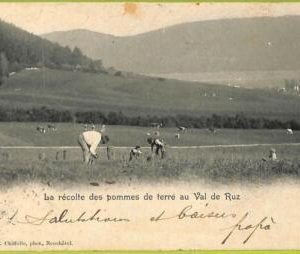 ad4947 - SWITZERLAND Schweitz - Ansichtskarten VINTAGE POSTCARD-Val-de-Ruz -1902