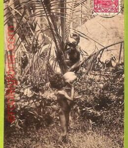 af4235 - Nouvelle Calédonie - VINTAGE POSTCARD Ansichtskarten - ETHNIC