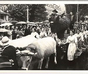 CARTOLINA d'Epoca - BOLZANO - MERANO - FOTOGRAFICA: FESTA !