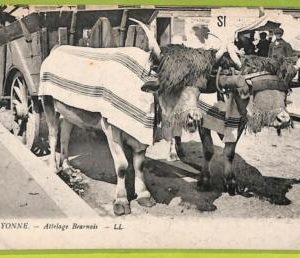 af4264 - FRANCE -  VINTAGE POSTCARD Ansichtskarten  - Bayonne -  ETHNIC