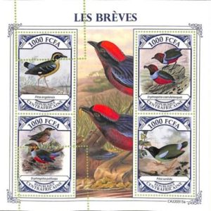 A7332 - CENTRAFRICAINE - ERROR MISPERF Stamp Sheet - 2022- Birds