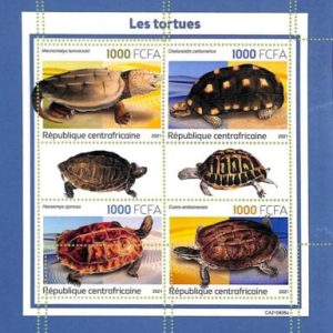 A7327 - CENTRAFRICAINE - ERROR MISPERF Stamp Sheet - 2021 - Reptiles, Turtles