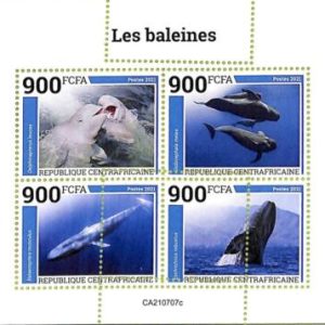 A7315 - CENTRAFRICAINE - ERROR MISPERF Stamp Sheet - 2021 - Whales