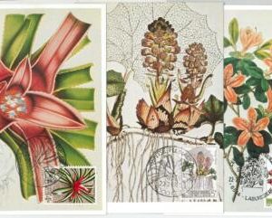 63470 -  BELGIUM - POSTAL HISTORY: Set of 3 MAXIMUM CARD 1975 -  FLOWERS