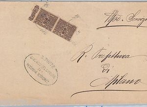 55422 - REGNO - STORIA POSTALE: Sass 68 coppia su BUSTA da PESCHIERA BORROMEO
