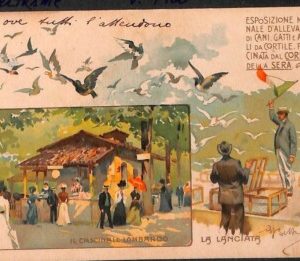 Lib518 - CARTOLINA d'Epoca Illustrata - EXPO Cani Gatti MILANO 1900 - BELTRAME