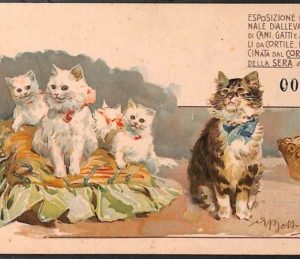Lib516 - CARTOLINA d'Epoca Illustrata - EXPO Cani Gatti MILANO 1900 - BELTRAME