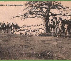 ah2329 - ERITREA - VINTAGE POSTCARD  -   Barentu - ETHNIC