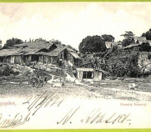 ae9282 - SINGAPORE -  VINTAGE POSTCARD - country Scenery