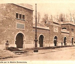 ab1033 - CARTOLINA D'EPOCA - MILANO Città : Fiera di Milano