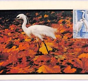 ad8788 - FRANCE  - POSTAL HISTORY - Maximum Card - 1975, ANIMALS Birds