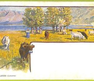 af5337 - SWITZERLAND Schweitz - Ansichtskarten VINTAGE POSTCARD - Locarno