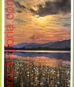 af5389 - SWITZERLAND Schweiz - Ansichtskarten VINTAGE POSTCARD - Lugano