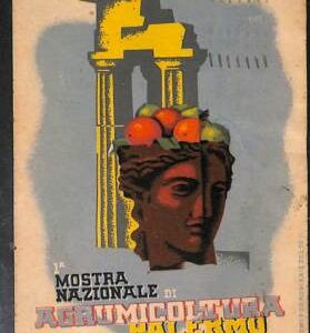 Lib810 - CARTOLINA d'Epoca - PUBBLICITARIA Illustrata  - CARBONI Agrumi PALERMO