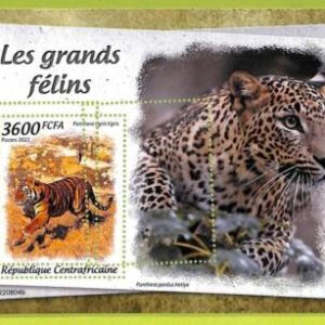 B0021 -CENTRAFRICAINE - ERROR MISPERF Stamp Sheet - 2022 - ANIMALS Big CATS