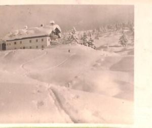 ac3360 - AUSTRIA - Ansichtskarten  VINTAGE  POSTCARD - Hochkonig
