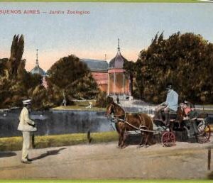 af0247 - ARGENTINA - VINTAGE POSTCARD - Jardin Zoologico