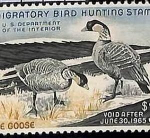 90218f -  USA - STAMPS: SCOTT # RW31  1964 Migratory Bird Hunting Stamp MINT MNH