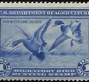 90215a -  USA - STAMPS: SCOTT # RW1  Migratory Bird Hunting Stamp MINT MNH 1934
