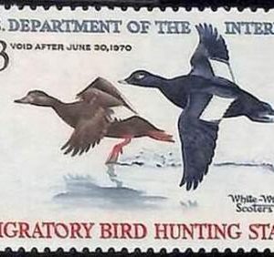 90219e -  USA - STAMPS: SCOTT # RW36  1969 Migratory Bird Hunting Stamp MINT MNH