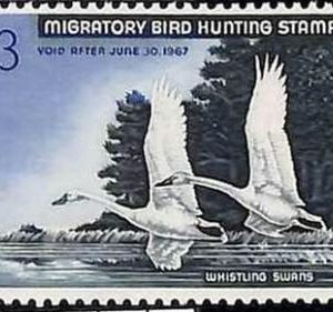 90219b -  USA - STAMPS: SCOTT # RW33  1966 Migratory Bird Hunting Stamp MINT MNH