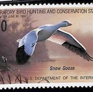 90222f - USA - STAMPS: SCOTT # RW55  1988  Migratory Bird Hunting Stamp MINT MNH