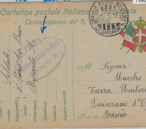 75608 - ITALY - POSTAL HISTORY  MILITARY STATIONERY CARD Field Post  1916 CATTLE