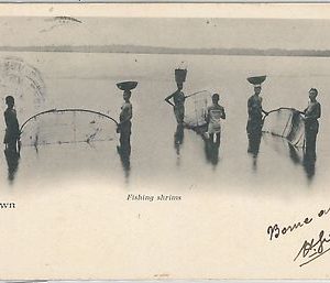 55301  -  VINTAGE  POSTCARD : ETHNIC / Petit Mettiers - SIERRA LEONE : Freetown