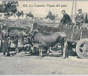 42465 - España - POSTAL ANTIGUA - SPAIN postcard - GALICIA : La Coruña ETHNIC