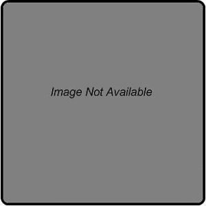 A4568 - SIERRA LEONE - ERROR MISPERF: 2016 Einstein, Nobel Prize, Relativity